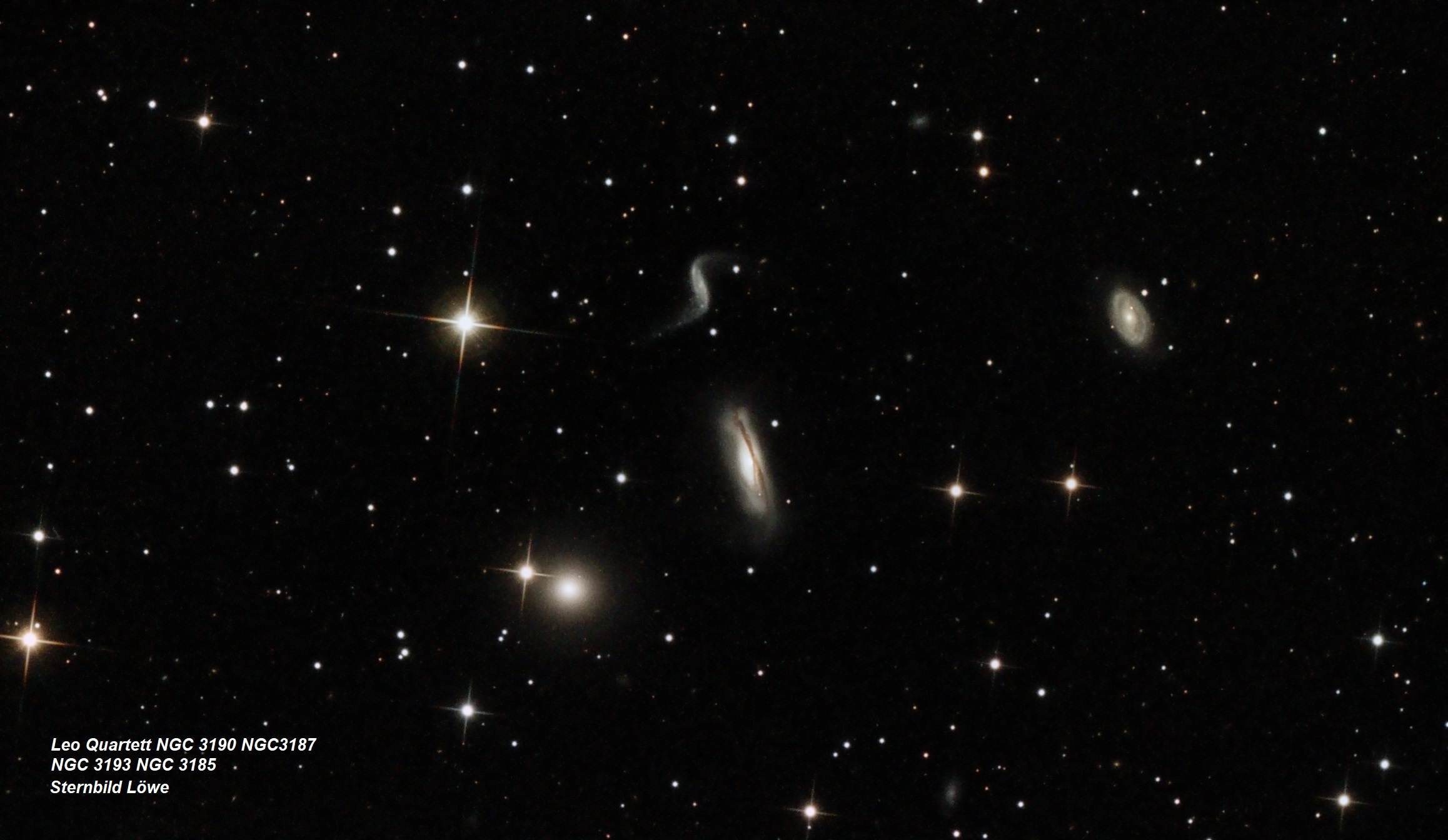 M66-Gruppe - Leo Quartett